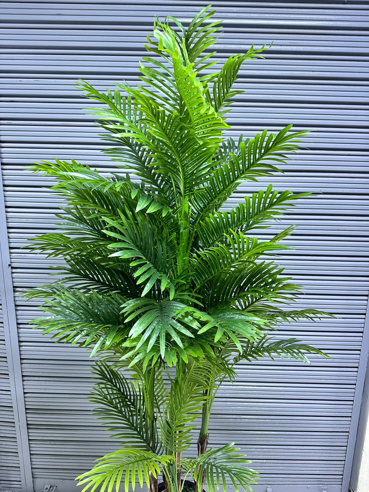 Planta Palmera x5 tallos + Maceta fibra de vidrio | 220cm — Plantas Artificiales
